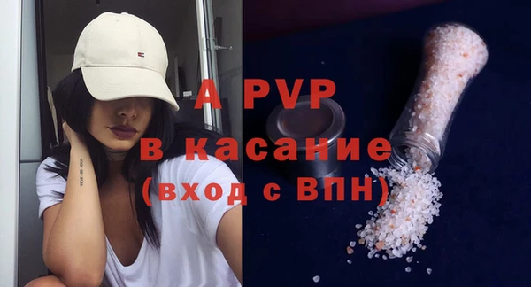индика Баксан