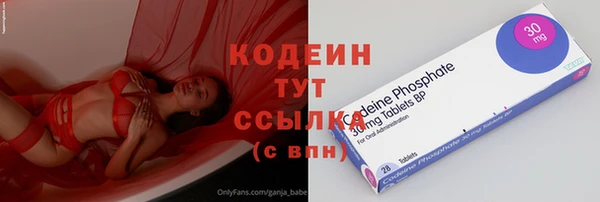 индика Баксан