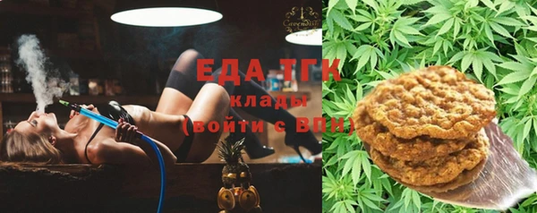 индика Баксан
