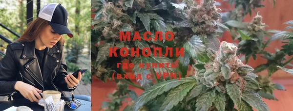 индика Баксан