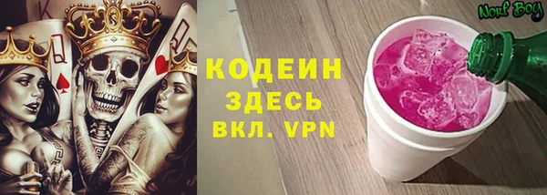 индика Баксан
