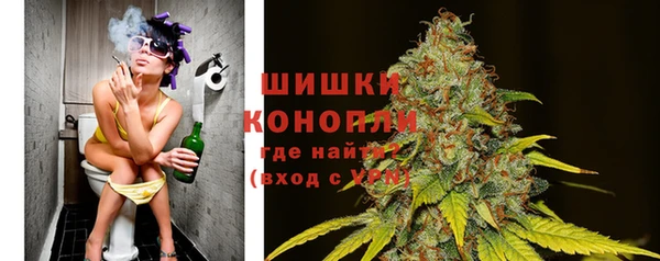 индика Баксан