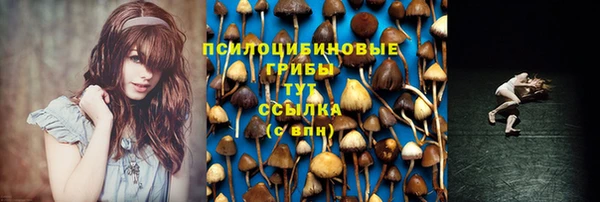 ECSTASY Балабаново