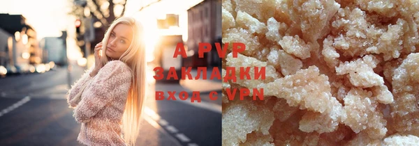 индика Баксан