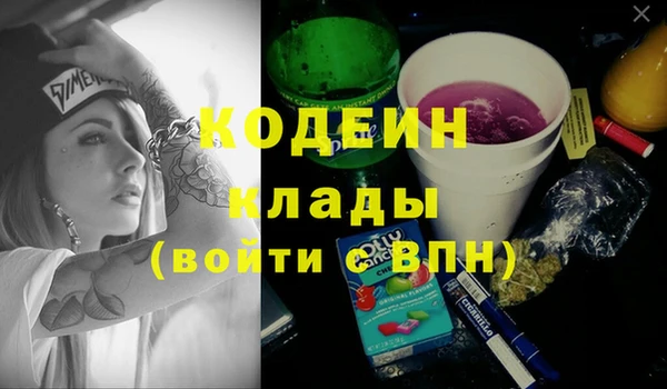 индика Баксан