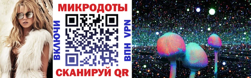 площадка какой сайт  Балей  Псилоцибиновые грибы Cubensis 