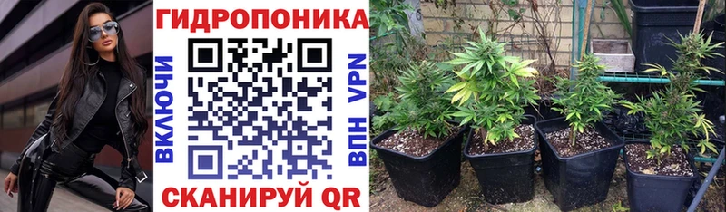 blacksprut как зайти  Балей  Канабис планчик  даркнет сайт 